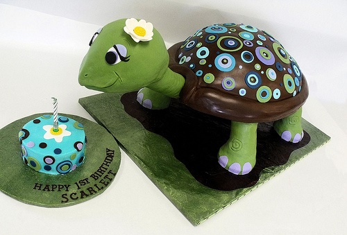 Turtle Birthday Cake Ideas