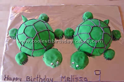 Turtle Birthday Cake