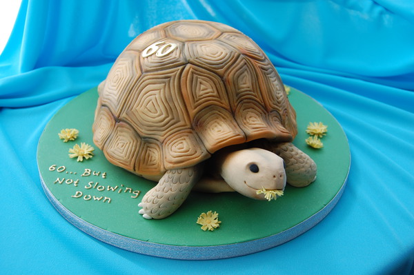 Turtle Cake and Cupcakes