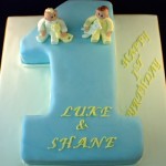 Twin Boys Birthday Cake Ideas