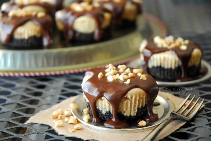 Chocolate Drizzled Peanut Butter Cheesecake