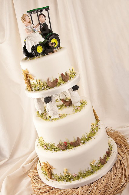 12 John Deere Cake Toppers Wedding Cakes Photo John Deere