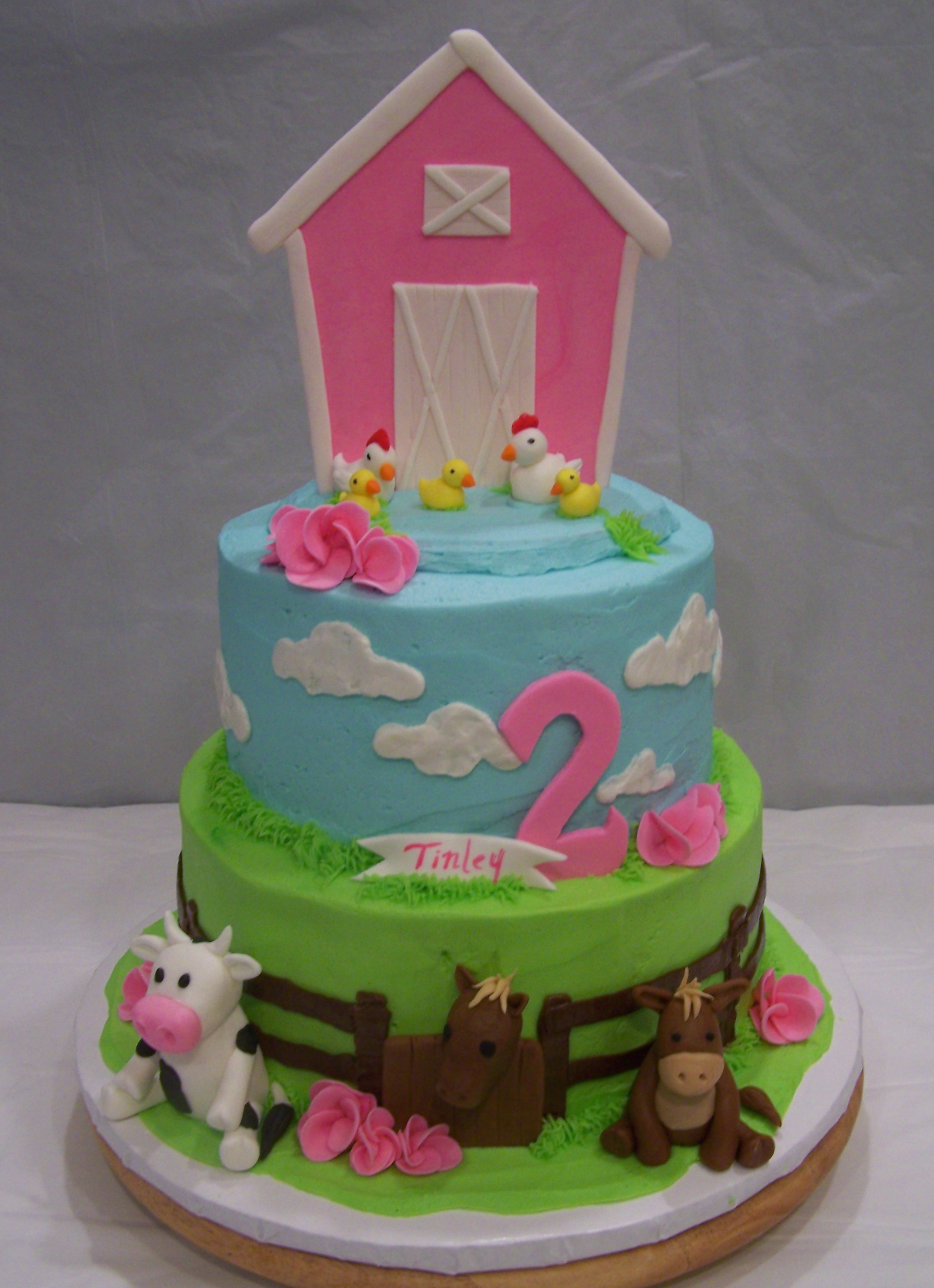 Farm Animal Birthday Cakes for Girls