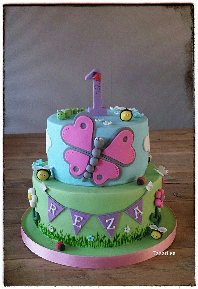 Little Girls Butterfly Birthday Cake