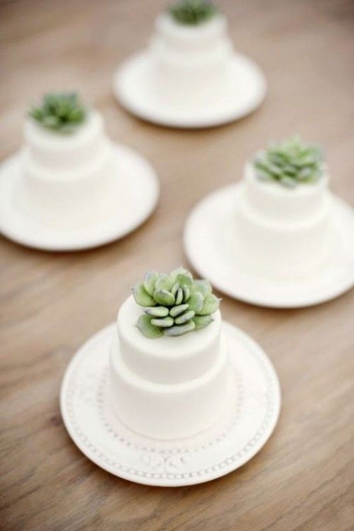 Mini Wedding Cake with Succulent