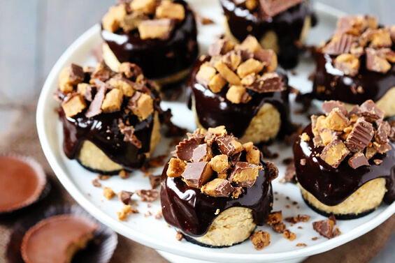 Peanut Butter Chocolate Mini Cheesecakes Desserts Pictures