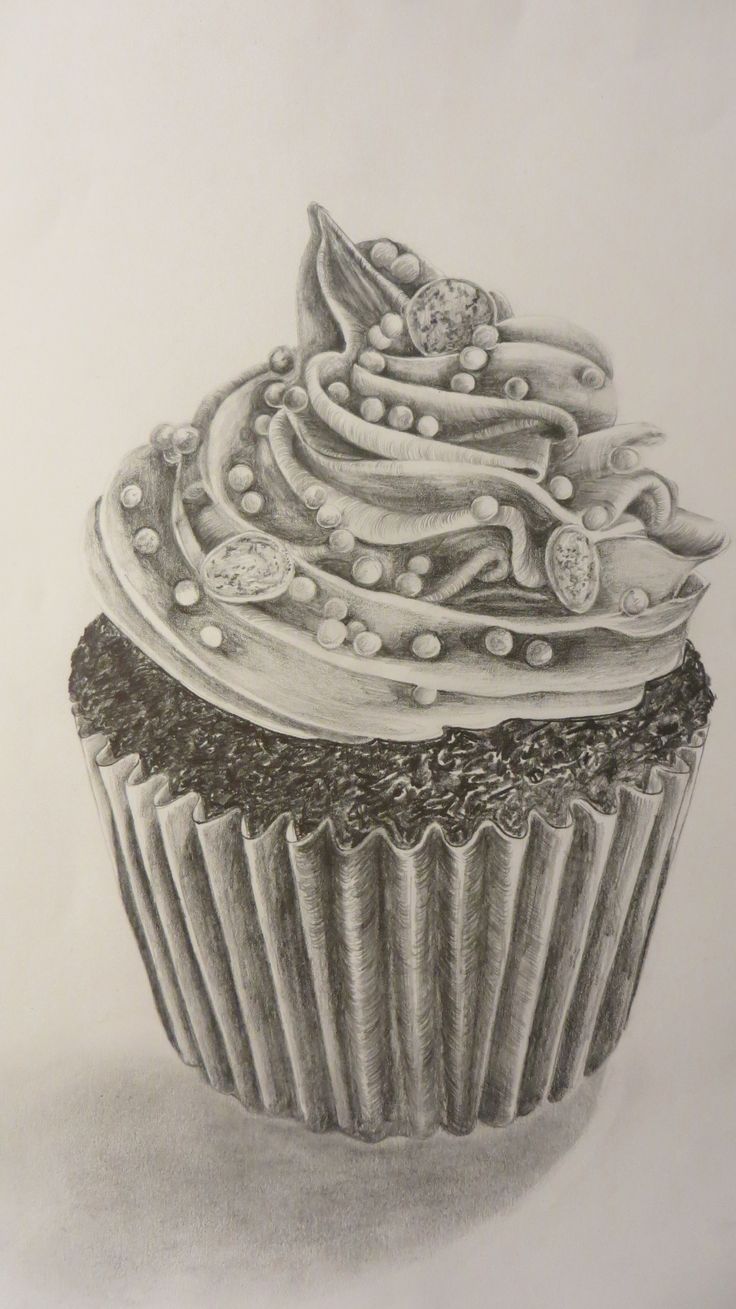 Realistic Cupcake Drawing