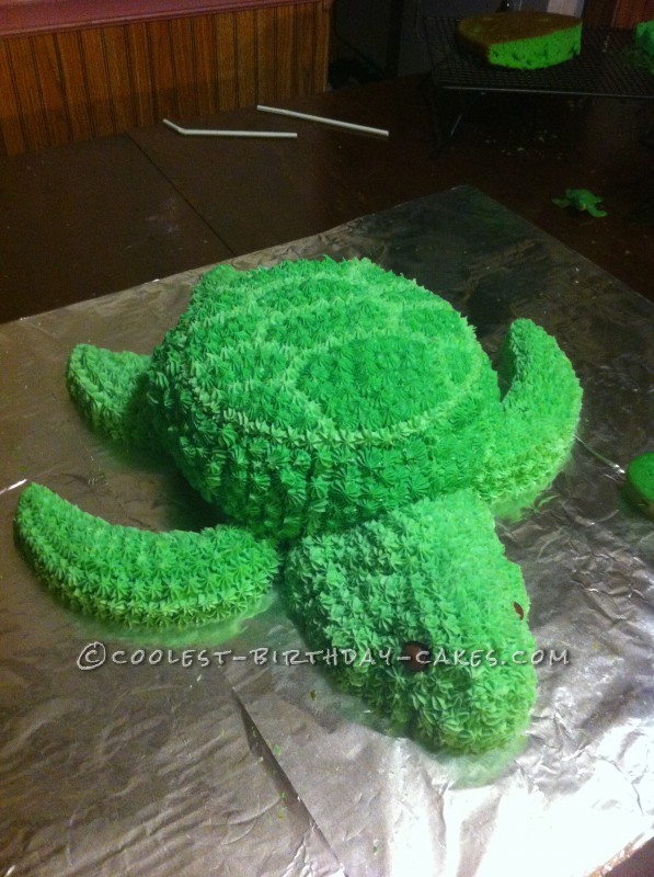 Sea Turtle Birthday Cake