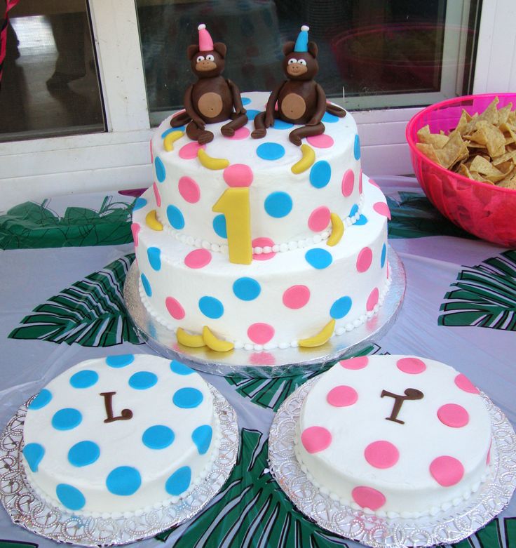 Boy Girl Twins Birthday Cakes