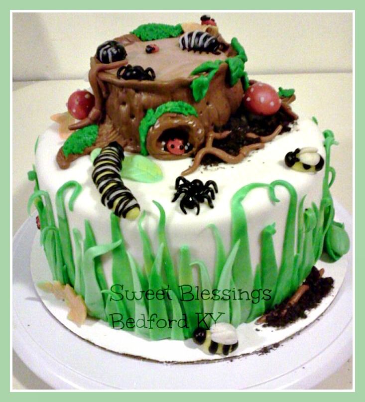 Bug Birthday Cake