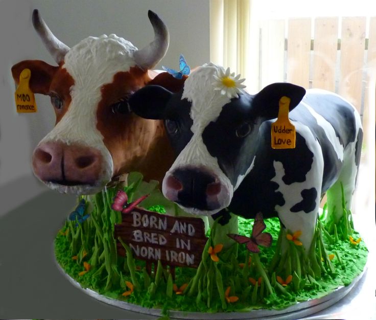 Cow Cake