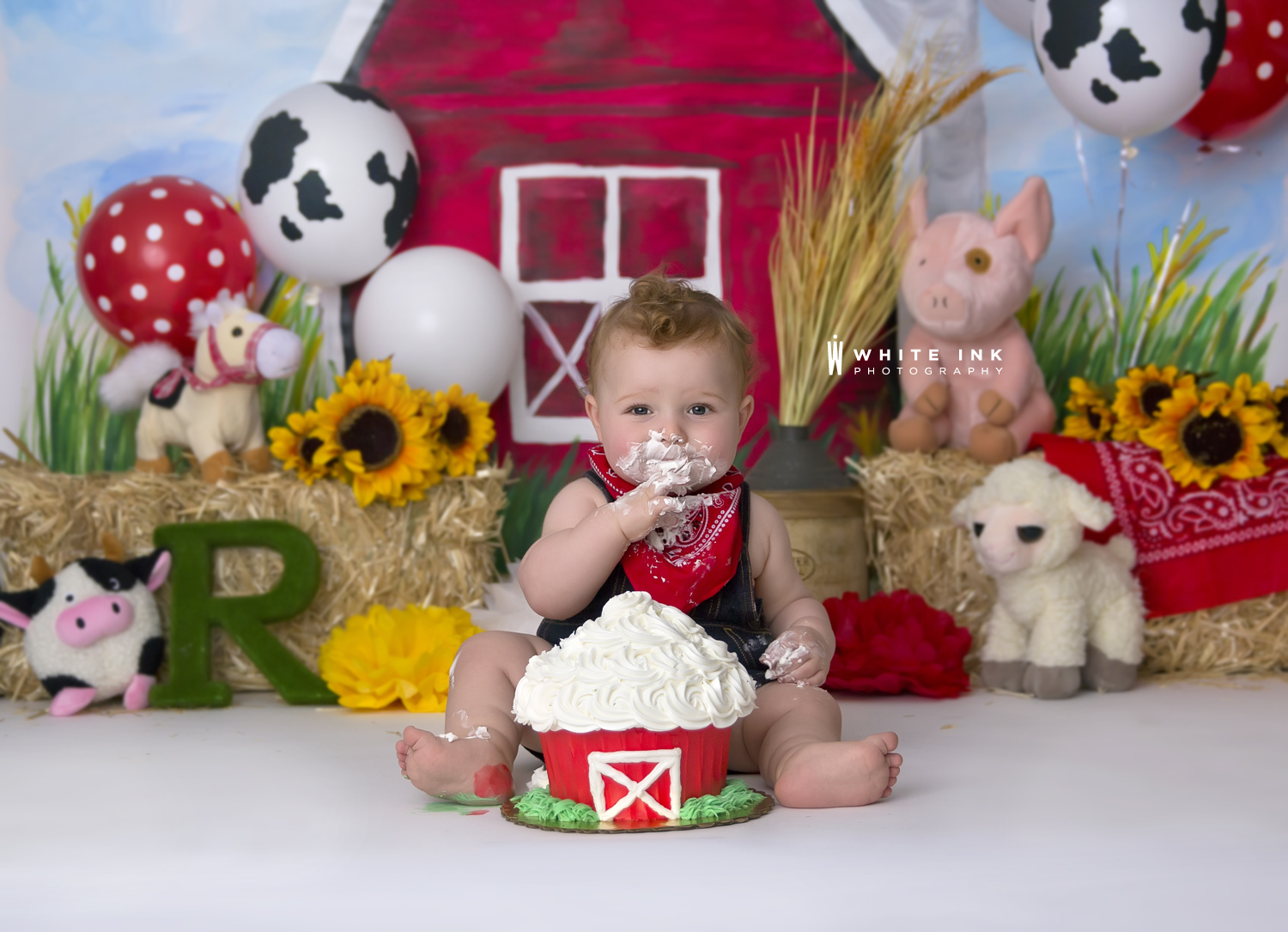 1st Birthday Farm Smash Cake