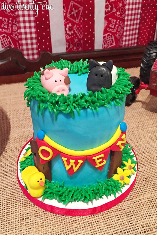 Barnyard Birthday Smash Cake