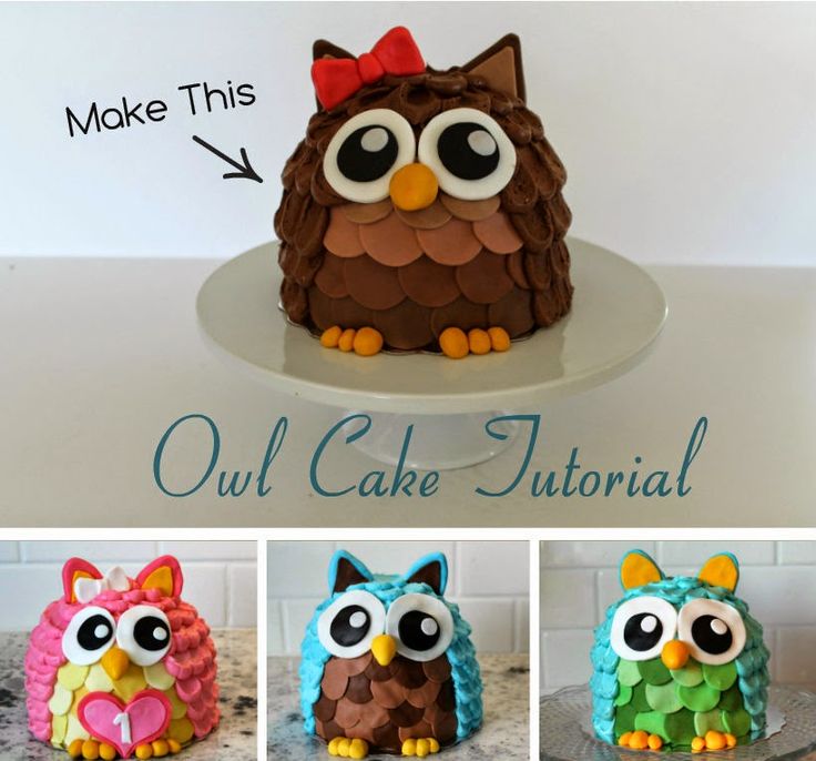 Cute Owl Cake Tutorial