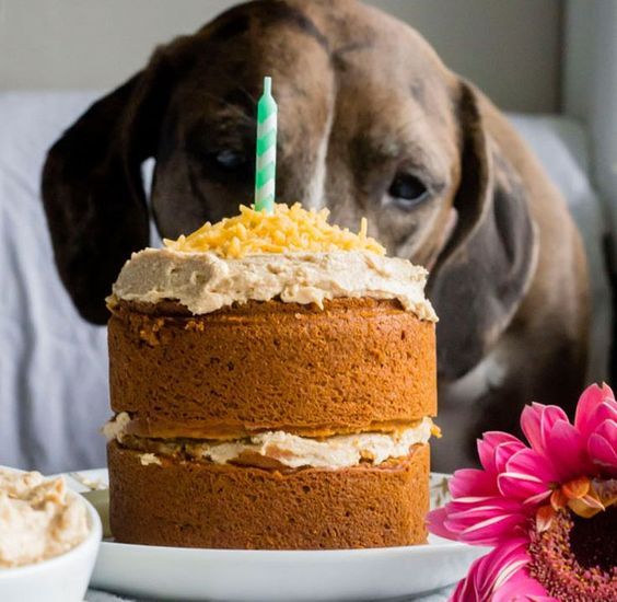 Dog Birthday Cake Recipe