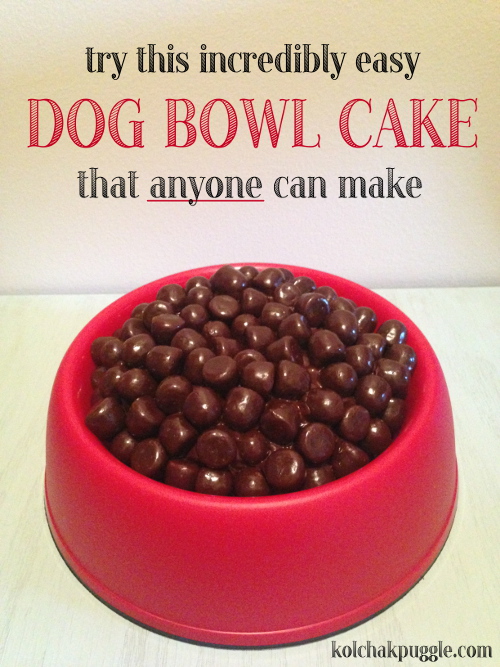 Dog Bowl Birthday Cake