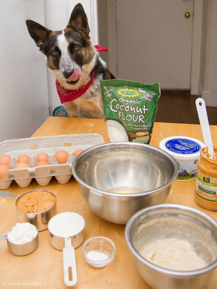 12 Photos of Easy To Make Birthday Cakes For Dogs