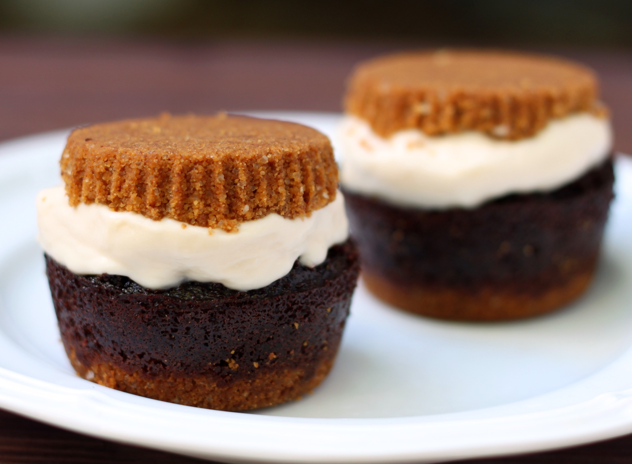 S'mores Ice Cream Cupcakes