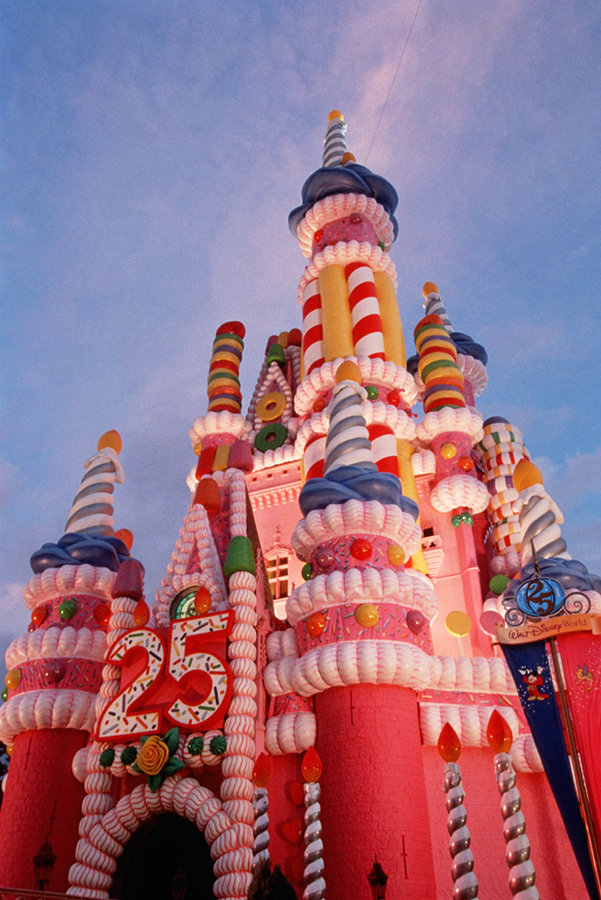 Walt Disney World Castle 25th Anniversary Cake