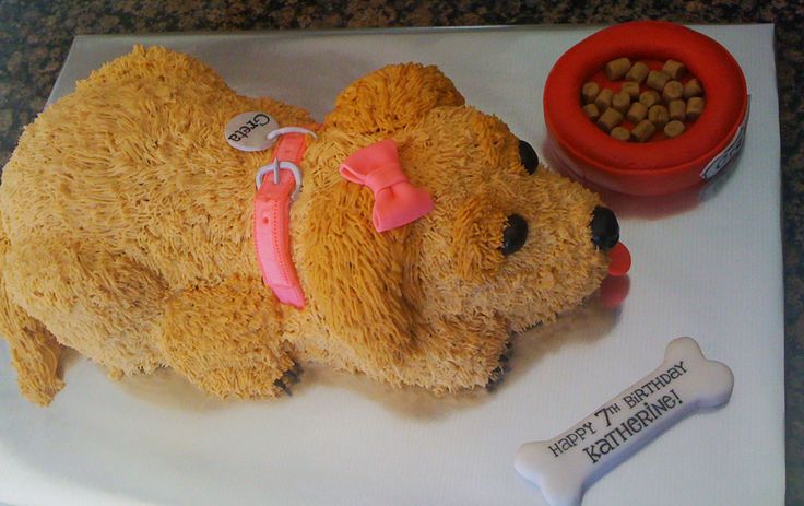 Birthday Cake Dog Golden Retriever