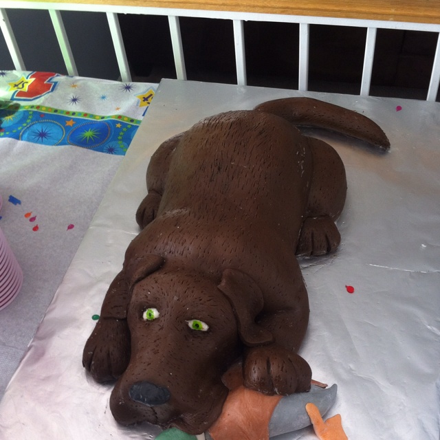 Birthday Cakes Shaped Like Dogs