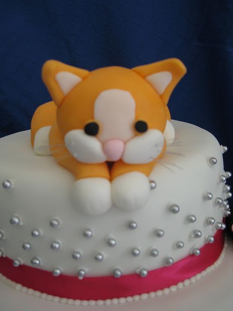 Cat Cake Ideas