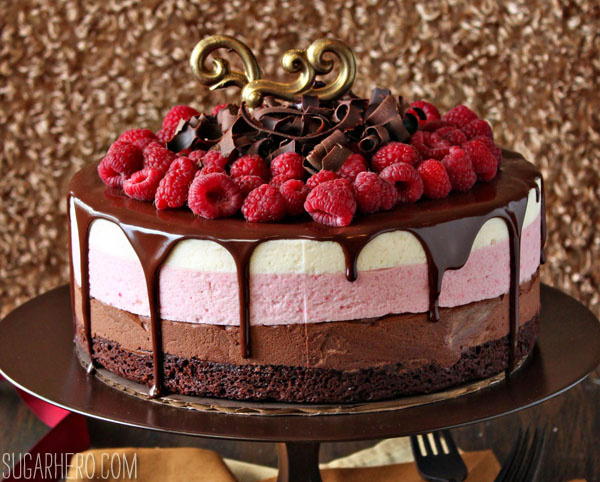 Chocolate Raspberry Mousse Cake