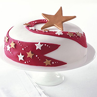 Christmas Cake Decorating Ideas