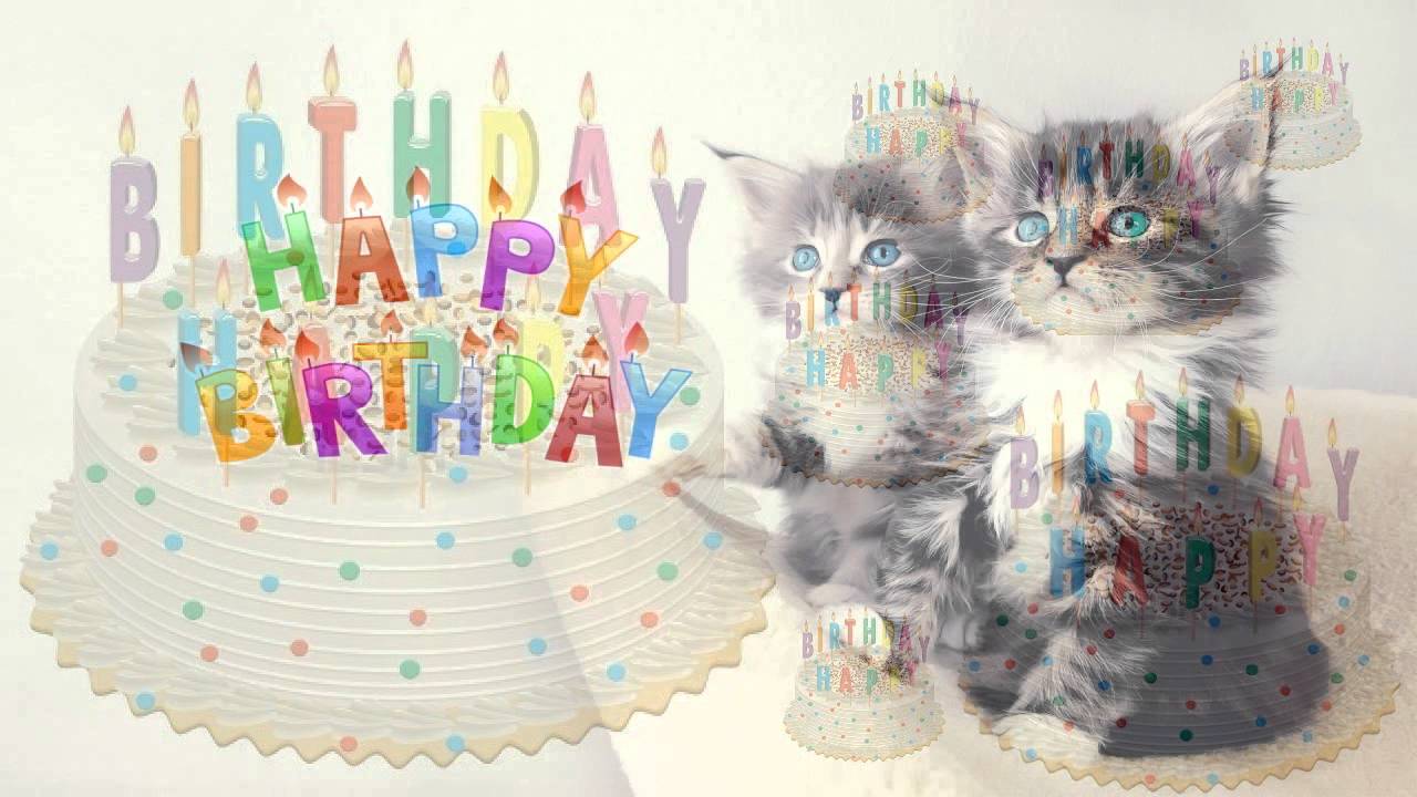 Happy Birthday Cat