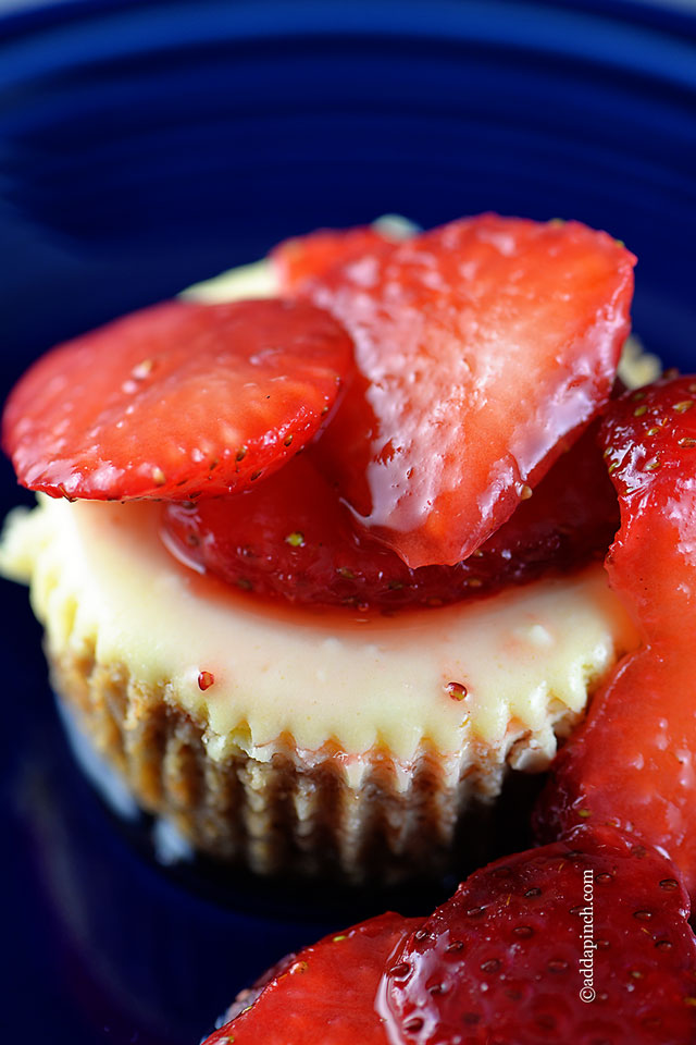 New York Mini Cheesecake Recipe