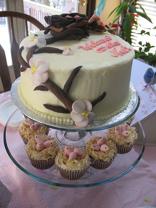 Birds Nest Baby Shower Cake