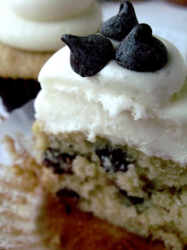 11 Photos of Chocolate Chip Cupcakes Cream Cheese