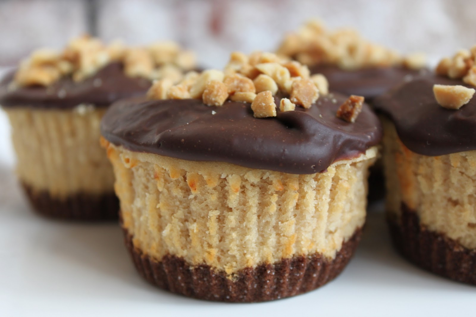 Chocolate Peanut Butter Mini Cheesecake Cupcakes