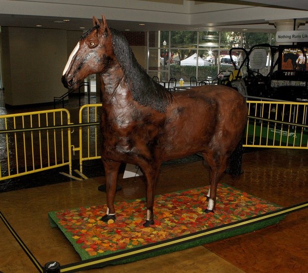 Life-Size Horse Cake