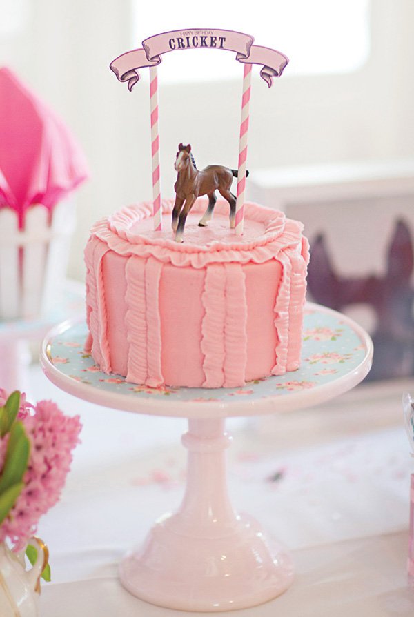 Pink Pony Birthday Party