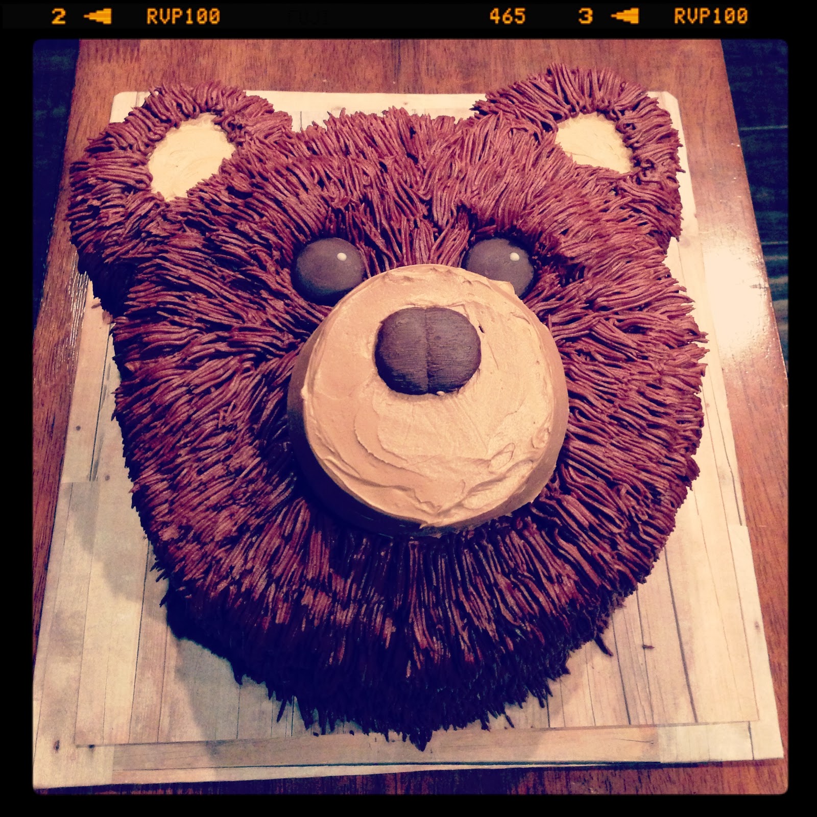 Bear Camping Cake