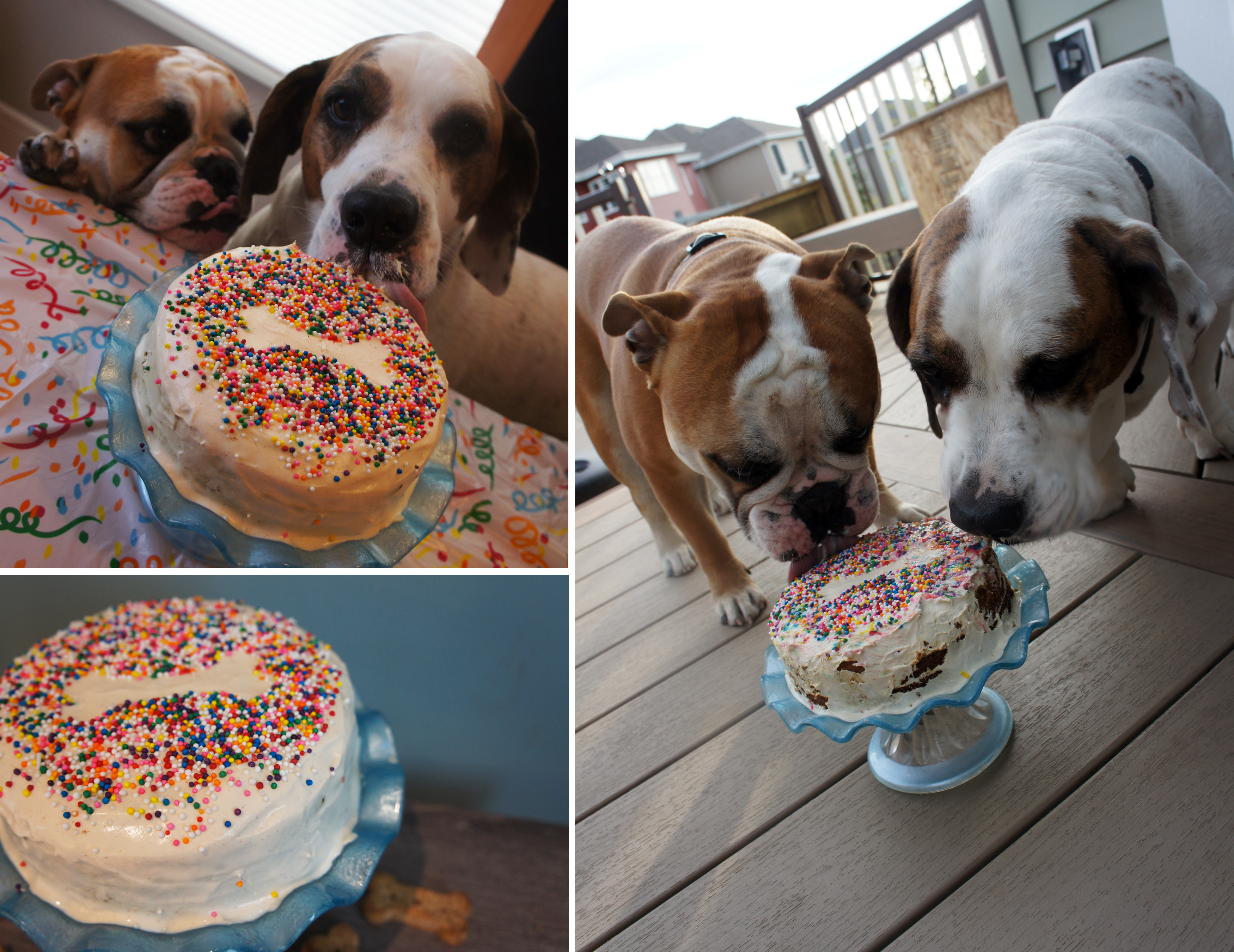 Dog Peanut Butter Birthday Cake