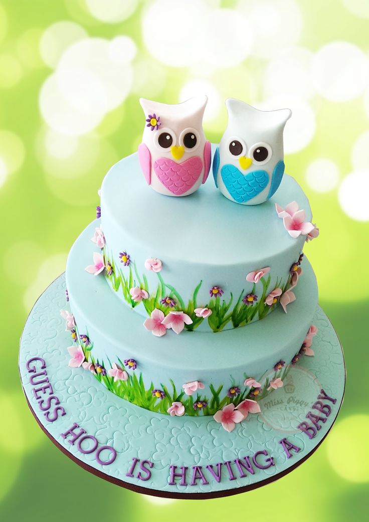 Owl Gender Reveal Baby Shower Cake