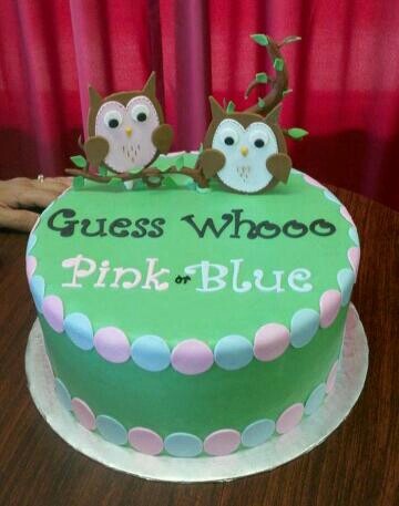 Owl Gender Reveal Baby Shower Cake