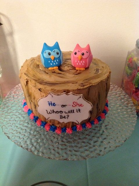 Owl Gender Reveal Cake