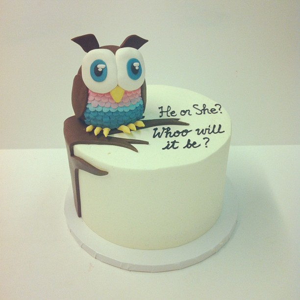 Owl Gender Reveal Cake