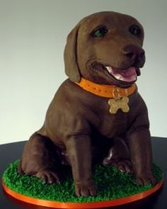 11 Photos of Chocolate Lab Birthday Cakes For Girls