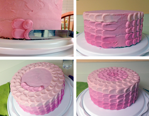 Cake Decorating Buttercream Icing