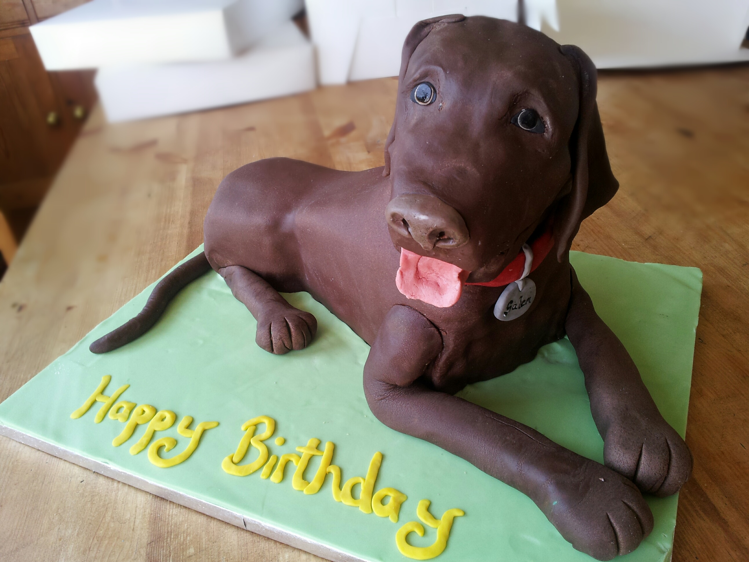 Chocolate Lab Dog Cake