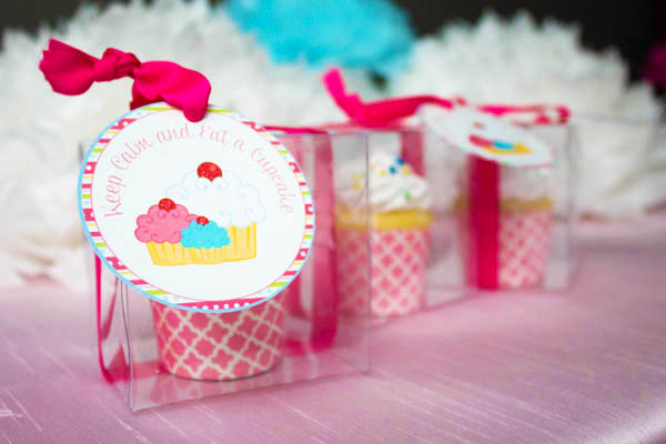 Cupcake Birthday Party Ideas