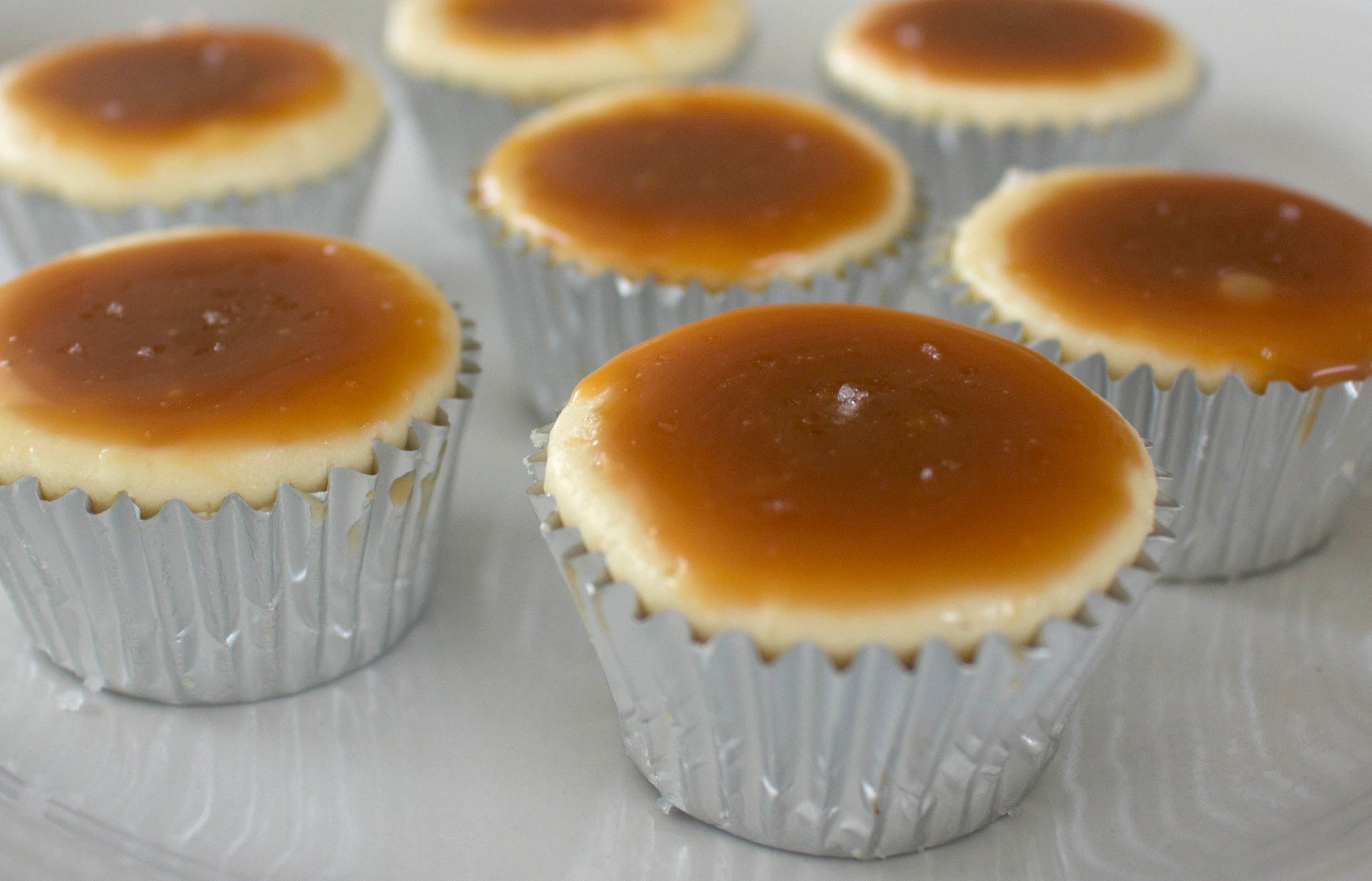 7 Photos of Cupcake Gluten Free Cheesecakes