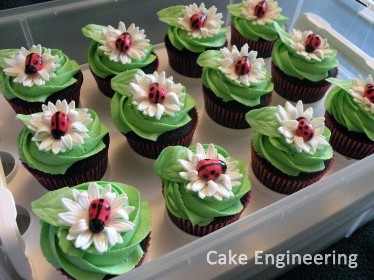 Ladybug Cake with Cupcakes