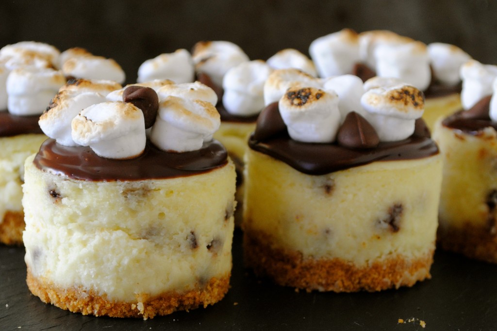 10 Photos of Mini S'mores Cheesecakes