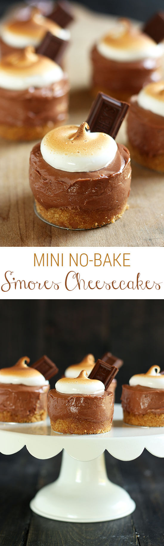 Mini S'mores Cheesecake Recipe