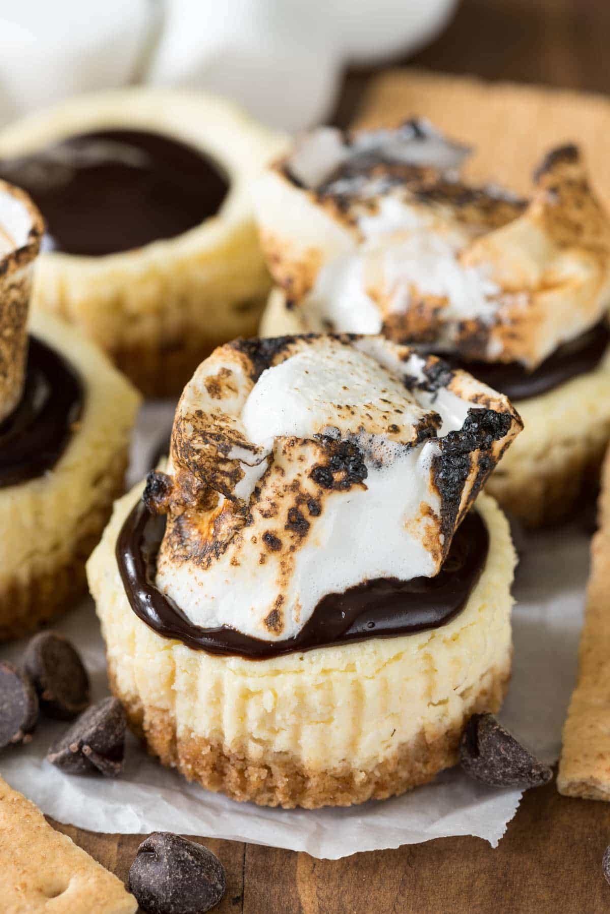 Mini S'mores Cheesecake Recipe